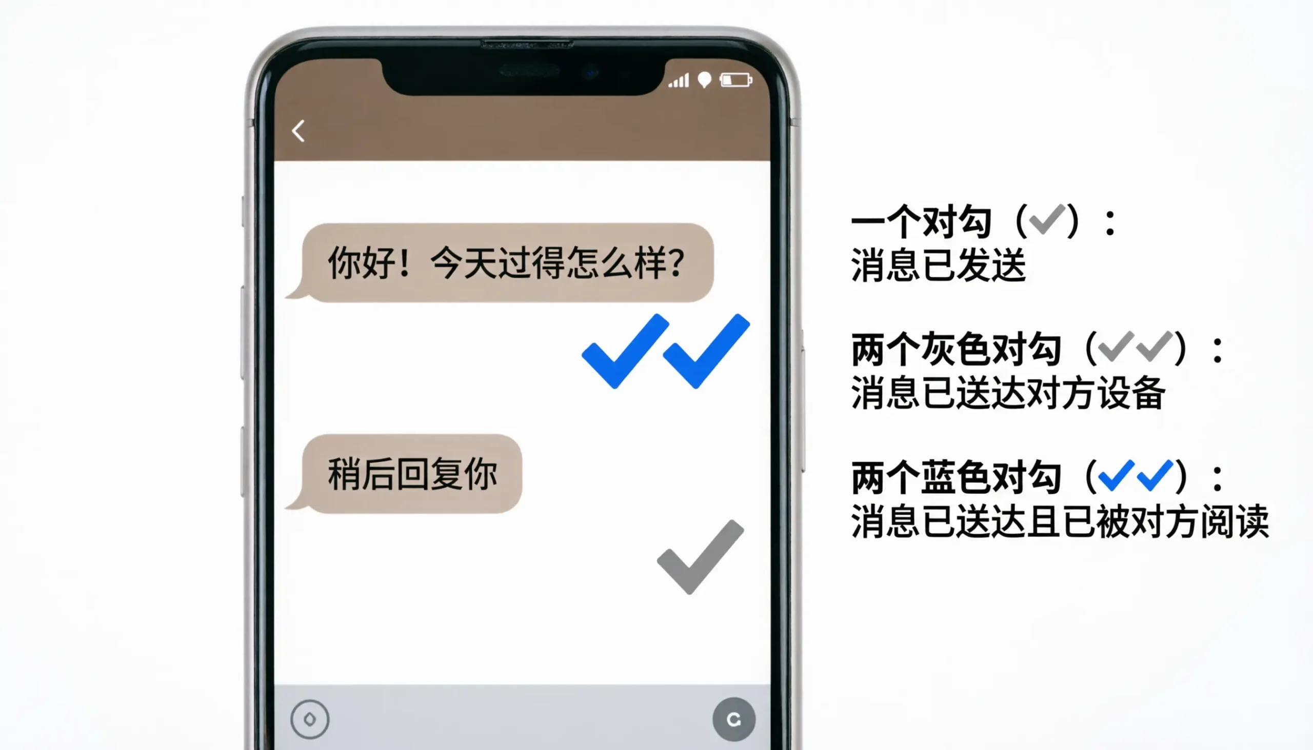 What Does Two Check Marks Mean on a Text Message on Android